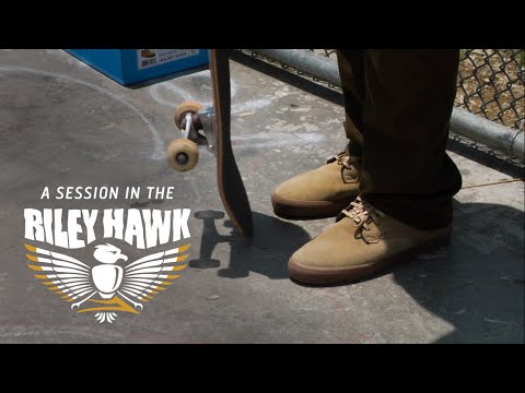 riley hawk lakai shoes