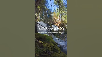 سورة إبراهيم - الآية 12 :
