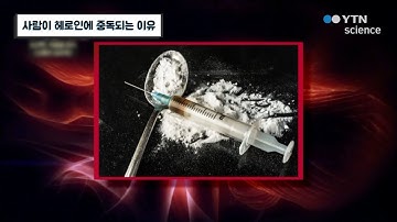 사람이 헤로인에 중독되는 이유 / YTN 사이언스