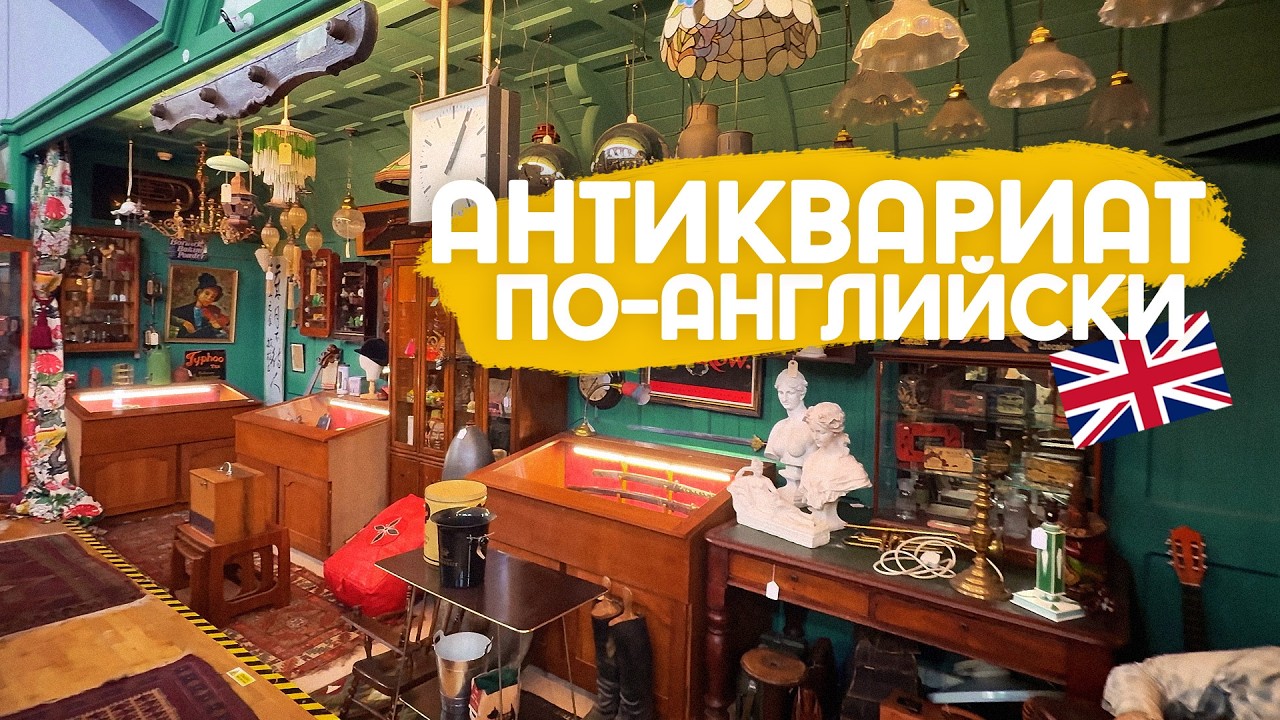 Антикварный магазин, котик и интеграция в эмиграции