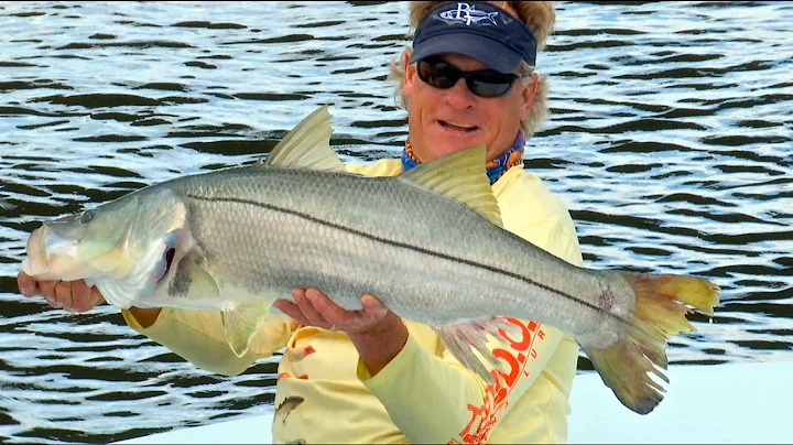 Monster Snook Fishing Lures Mark Nichols DOA in St...
