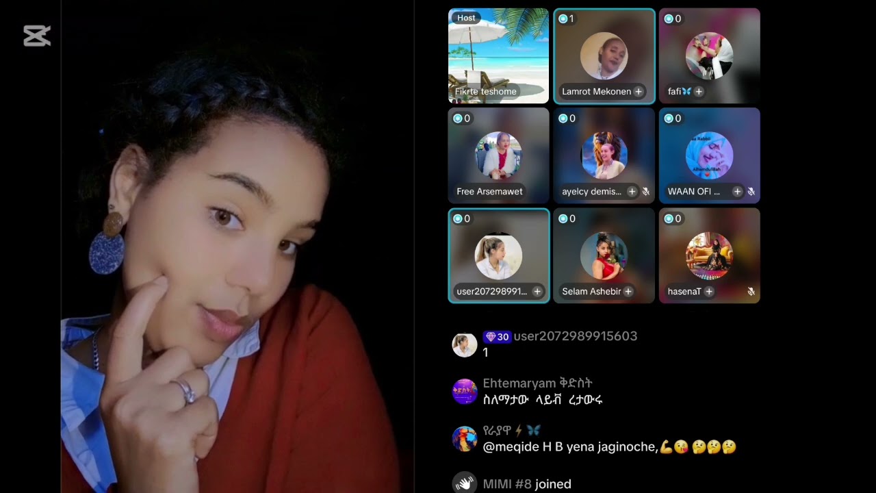 የሃይሚ ወዳጆች beruk አይገባትም አሉ