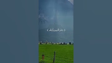 تلاوة خاشعة تريح النفس 💖👌