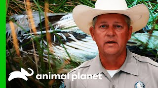 Missing Whooping Crane Is Found Dead | Lone Star Law Missing Whooping Crane Is Found Dead | Lone Star Law