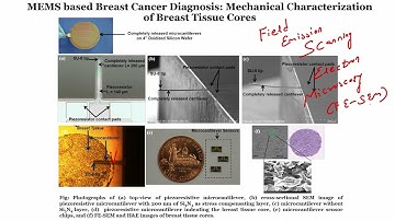 Applications of microcantilever for Mechanical Phenotyping of breast cancer .. #swayamprabha #ch19