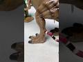 Satisfying Review Miniature Dinosaur Toys Funny Snake Bite ☣️| ASMR Video #shortsviral