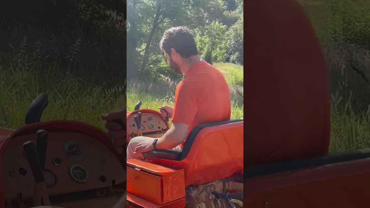 Trinciatura sterpaglie con Fiat 312C