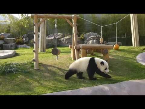２０１４年元旦の優浜　1
