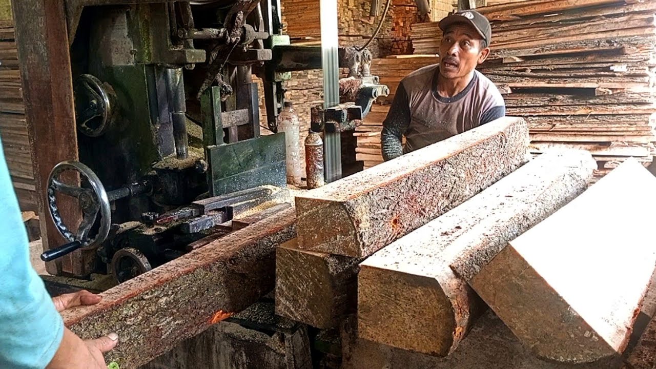 Sawing round pine logs is easy to process