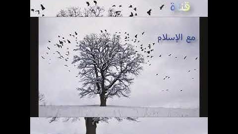 ترتيل سورة فاطر للقارئ علاء المزجاجي