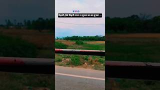 Aee bihari #trending #bihar #song #viral #shorts #nature  #bihari #dilwakechor