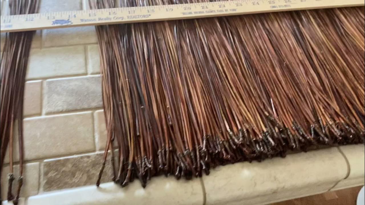 Pine Needles After Glycerin Bath/Soak YouTube