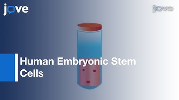 Freezing & Thawing Human Embryonic Stem Cells l Protocol Preview