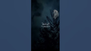 آيات من سورة إبراهيم ✨❤️
