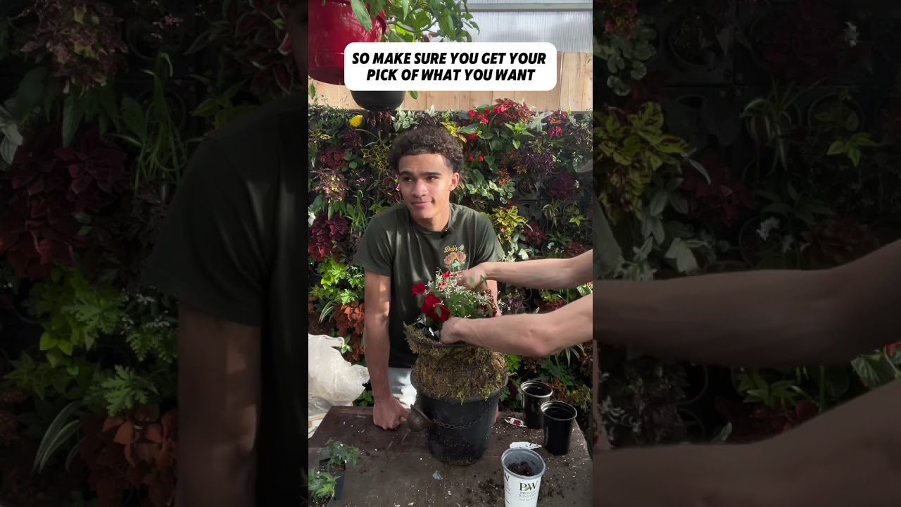 The Plant Guys make a Very Unique Moss Hanging Planter Cage Thing