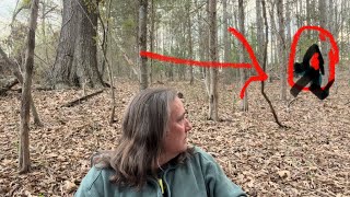 One Moment He Wasn't There and Then Suddenly He Was! by Homesteading Off The Grid 4,709 views 2 weeks ago 20 minutes