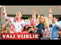 VALI VIJELIE si LEO DE LA ROSIORI - Haide sa bem (hitul petrecerilor 2020)