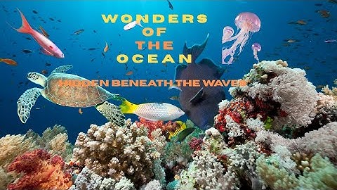 The Hidden World Beneath the Waves