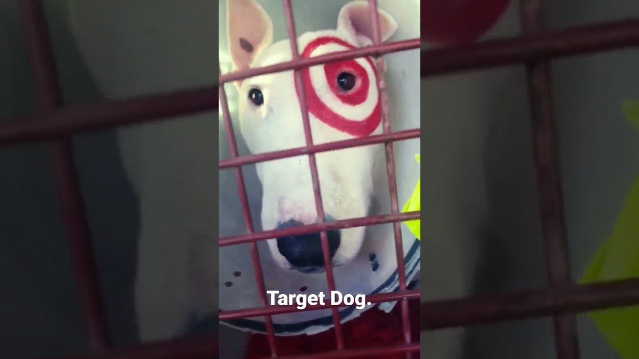 Target Dog