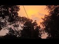 Solo camping in heavy rain🌧️🏕️🌧️ | #viral #duet #love #hindishorts #solocamping #monsoon #viralvideo