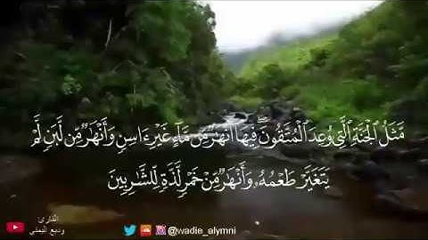 القارئ وديع اليمني - تلاوة من الآية (15-19) من سورة محمد