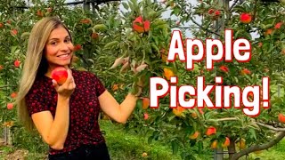 Apple Picking | Pastry Chef Searches For Best Apples for Baking