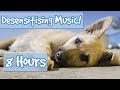 Desensitising Dog Music! Music with Sound Effects to Desensitise Dogs to Noises, Reduce Anxiety!🐶💤