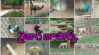 Vizag zoo park| Indira Gandhi zoological park in visakhapatnam| Andhrapradesh zoo park| telugu
