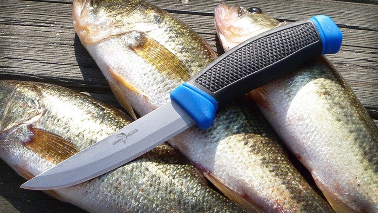 Top 7 Best Fishing Knives To Buy in 2023!