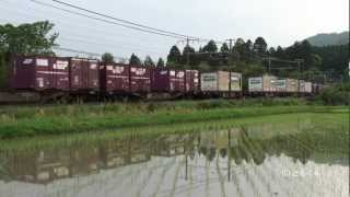 東海道本線 大垣 - 米原 2012/05撮影 EF66