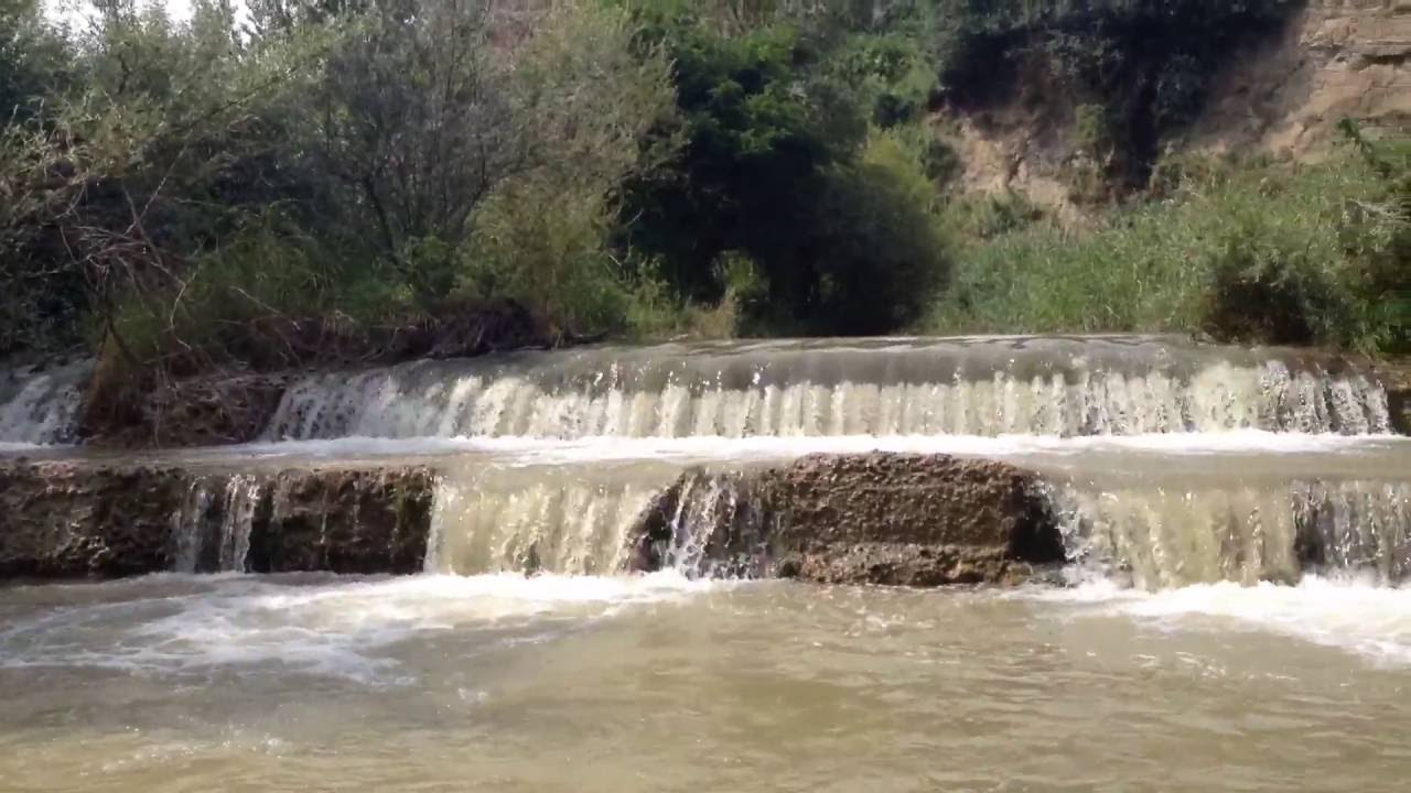 რაჭის