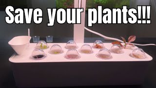 Uprawiamy zioła z IKEA ;-)