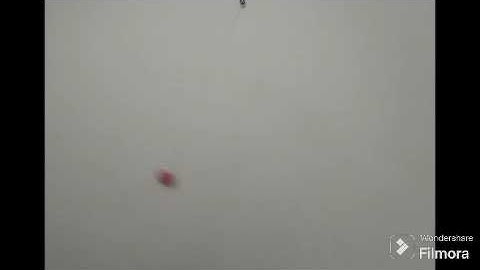 Video expiremantal del pendulo simple. Proyecto final fisica I 2023