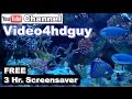 screen saver aquarium | www.art4HD.tv