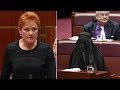 Burqa clad Senator sparks backlash in Australian Parliament