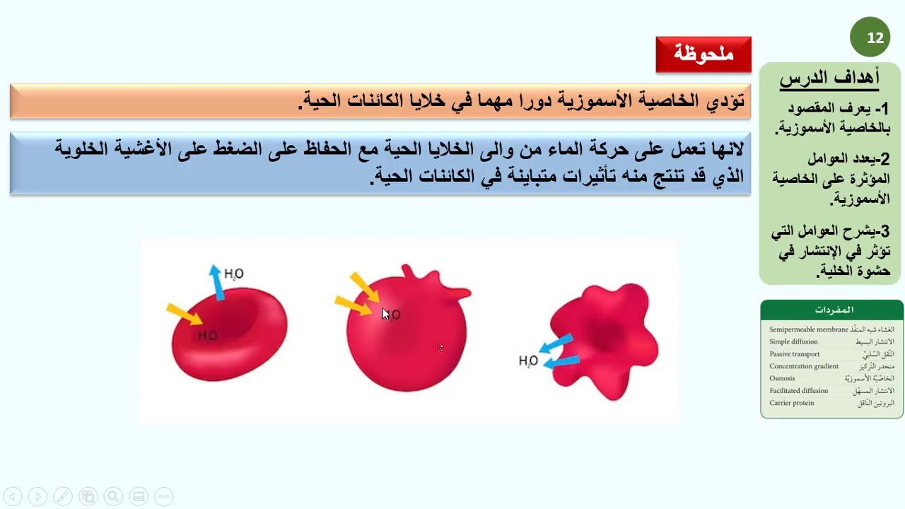 حادي عشر علمي  أحياء   النقل السلبي والنقل النشط 03