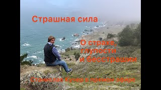 Страшная сила. О страхе, храбрости, глупости и бесстрашии. Станислав Кучер в прямом эфире