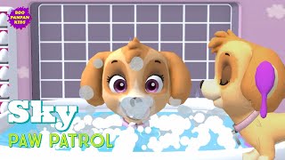 Skye Paw Patrol A Day Adventure Bayboopanpankids
