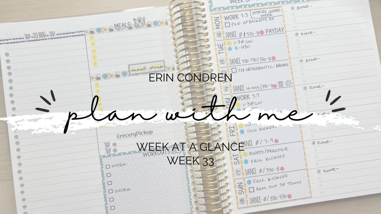 PLAN WITH ME | DAILY DUO | ERIN CONDREN | DAILY DUO PLAN WITH ME | WEEK ...