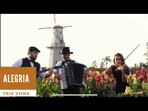 ALEGRIA - CIRQUE DU SOLEIL - TRIO VIENA