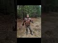 В лес. Сын за рябчиками, я за грибами.