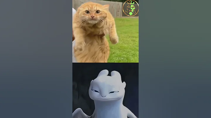 #funny #viral #youtubeshorts #tiktok #trending #ytshorts #memes #shortvideo #respect #dog  #cat