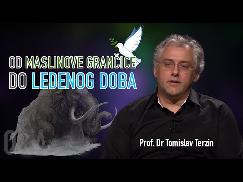 Video: Piramide Ledenog Doba - Alternativni Prikaz