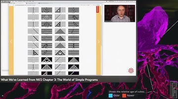 Stephen Wolfram - What We