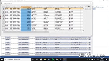 CASEWARE IDEA - IMPORTACION DE UN ARCHIVO PDF