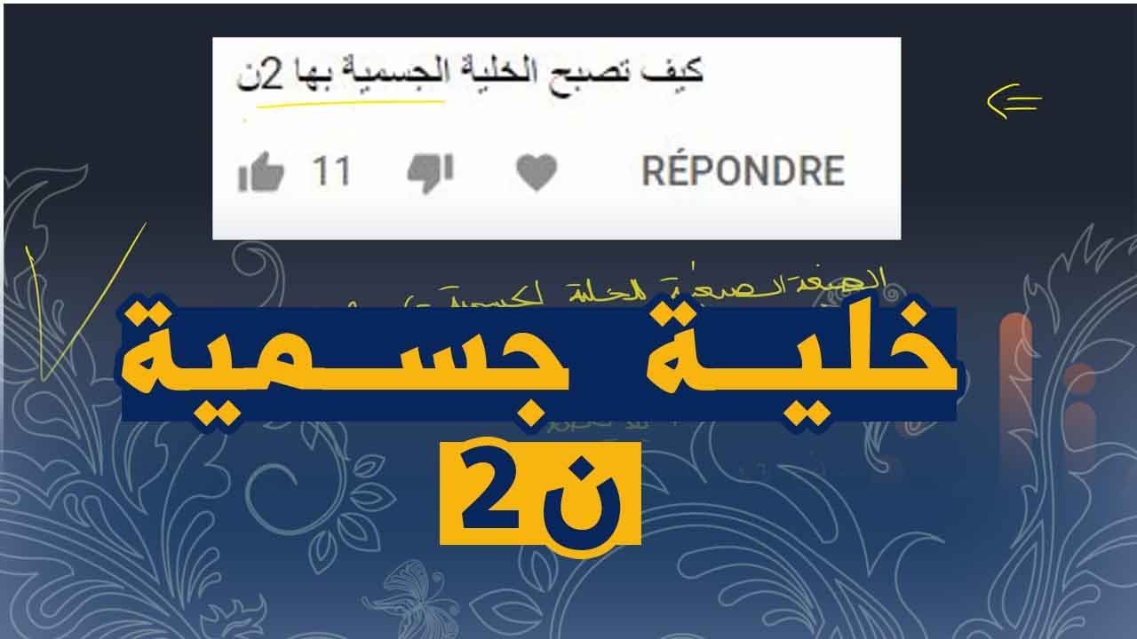 الخلية الجسمية 2ن علوم طبيعية للسنة الرابعة متوسط