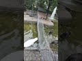 Kuğlu park #2026 #travel #ytdayibenionecikarnolur #gezilecekyerler #doğayürüyüşü #gezmek #vlog #new