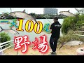 終於被我發現釣魚人的天堂!!一天釣100尾簡單啦!!