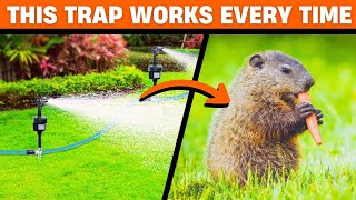 How to Get Rid of Groundhogs in Your Yard | No More Damage! 🌿