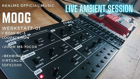 Moog Werkstatt-01 Live Ambient Session + Effects Pedals
